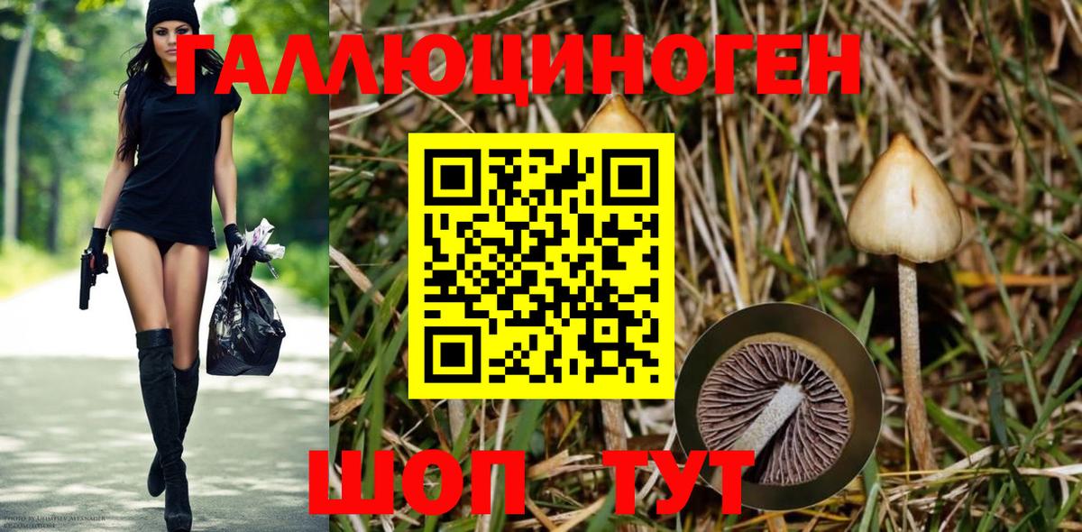 Псилоцибиновые грибы MAGIC MUSHROOMS Карпинск