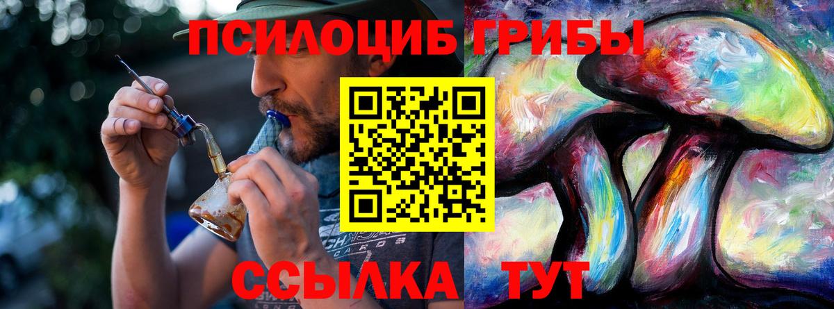 Карпинск  Галлюциногенные грибы Psilocybine cubensis  Вход с VPN 